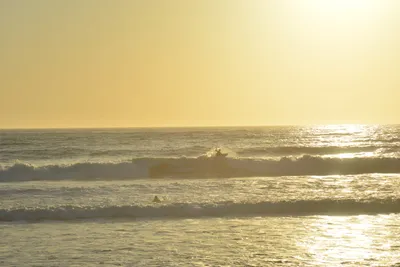 DSC_7278 (Large).JPG